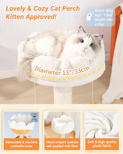 Happi N Pets Cloud Cat Tree, Cat Scratching Post with Soft Bed for Kitten - size: 22" with Scratching Post