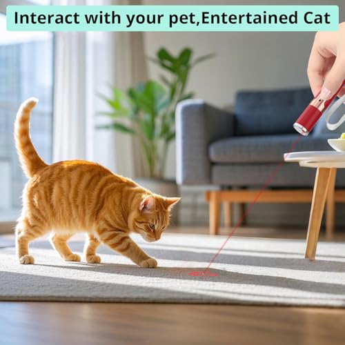 TBTeek Cat Toys, with Metal Case, 2 Pieces, Rechargeable (Red - color: Red