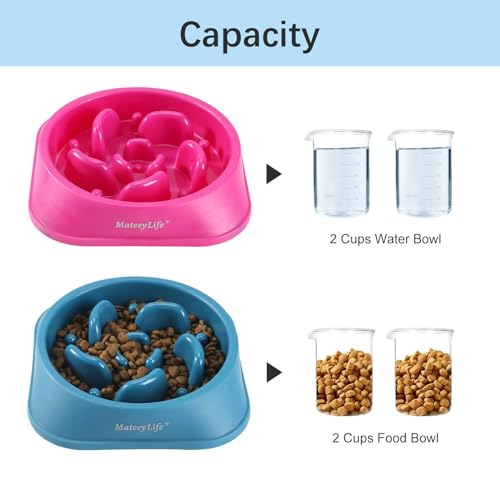 MateeyLife 2-Pack Slow Feeder Dog Bowls, 2 Cups, Dog Puzzle Feeder Bowl - color: C-Purple&DarkBlue, size: Medium