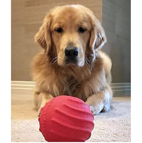 Dog Toys Hollow Red Tough Rubber Ball Cleans Teeth Bounce Fetch Fill with Treats (Large - 4 Inch) - size: Large - 4 Inch