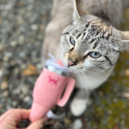 PUPROAR Kitty Cup Catnip Cat Toy, Cat Birthday Gift & Cute Girly Accessory, Crinkle Toy for Indoor Cats (Pink Peach Dust) - color: Pink PeachDust