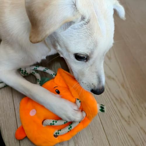 Green Sheep Interactive Plush Dog Toy, No Stuffing Squeaky Toy with Recycled Cotton Rope for Medium to Large Dogs, Chew Toy, Pumpkin - color: Pumpkin（L）