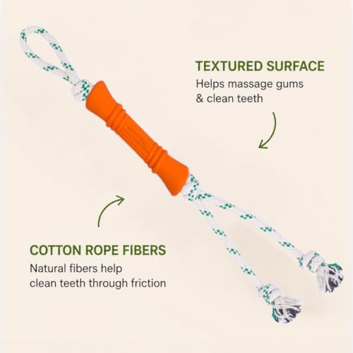 Green Sheep Tug & Enrichment Dog Toy, Interactive Rope Bone Toy with Removable Cotton Rope, Treat Dispensing Natural Rubber Dental Chew Toy for Medium and Large Dogs, Orange - color: Orange Bone With Rope