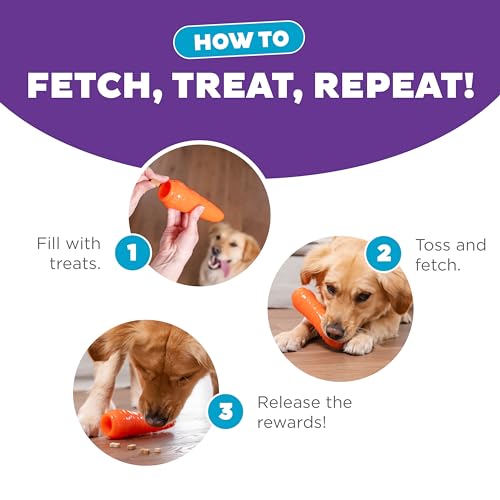 Outward Hound by Planet Dog Foodies Carrot Treat-Dispensing Dog Chew Toy, Orange - color: Carrot