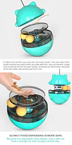 Interactive Cat Toy Tumbler for Indoor Cats
