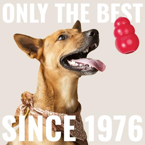 KONG Cozie Ali Alligator and SqueakAir Balls, 3 Pack, for Medium Dogs - size: Medium
