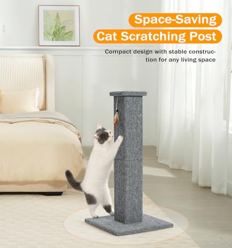 Made4Pets Cat Scratching Post for Indoor Cats, Carpet Cat Scratcher, 32" - color: Grey-Carpet