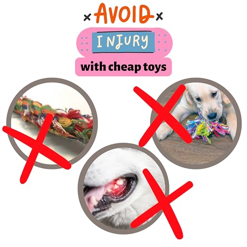 3-in-1 Enrichment Set, Tug, Sniff & Treat Dispense (Blue) - color: Blue