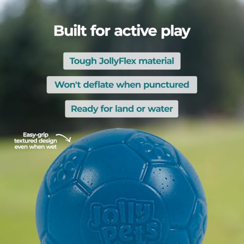 Jolly Pets Mini Soccer Ball Dog Toy, Ocean Blue - Durable, 4" (Pack of 12) - color: Ocean Blue, size: 4" (Pack of 12)