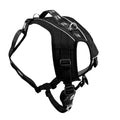 FitPaws® Made to Move® No-Pull Dog Harness, Neck Buckle, Black, Large - color: Black, size: Large