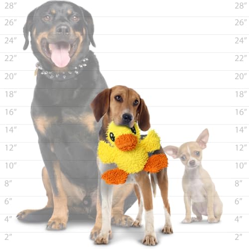 TUFFY®5 Pack Jr Duck, Microfiber Duck, Triceratops, Toucan & Piggy Dog Toys - color: 5PK Multi-Color Duck, Triceratops, Toucan, Piggy