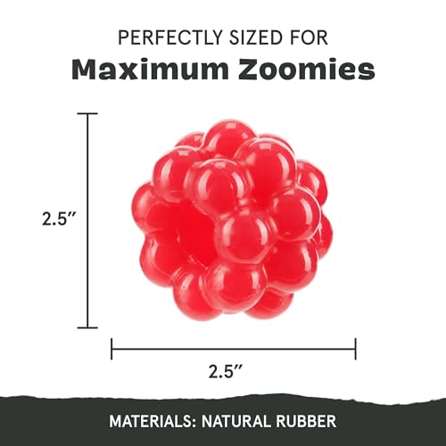 BarkBox Ruffberry Blast Dog Toy - for Small Dogs - style: Ruffberry Blast