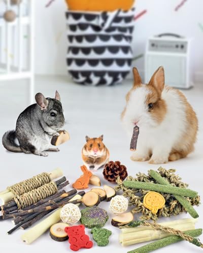 Bissap Rabbit Chew Toy, Natural Bunny Treats Snacks with Timothy Hay Water Grass Mat Chewing Bamboo Apple Sticks Box for Guinea Pigs Chinchillas Hamsters Gerbils and Other Small Pets Teeth Grinding