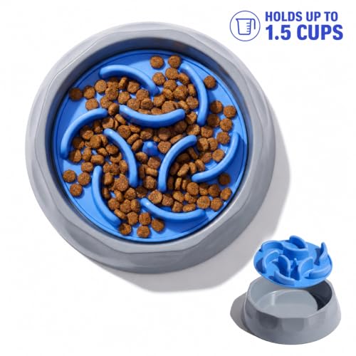 Slow Feeder Dog Bowl – Anti-Gulping Puzzle Feeder for Dogs, Slow Eating Dog Bowl with Removable Silicone Insert, Non-Slip, BPA-Free, for Small & Medium Dogs (Blue)