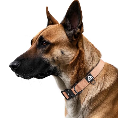 XSmall Extra Small Dog Collar and Leash Set Heavy Duty - color: Carolina Blooms, size: XS(0.5''Width, Fit 8''-11'')