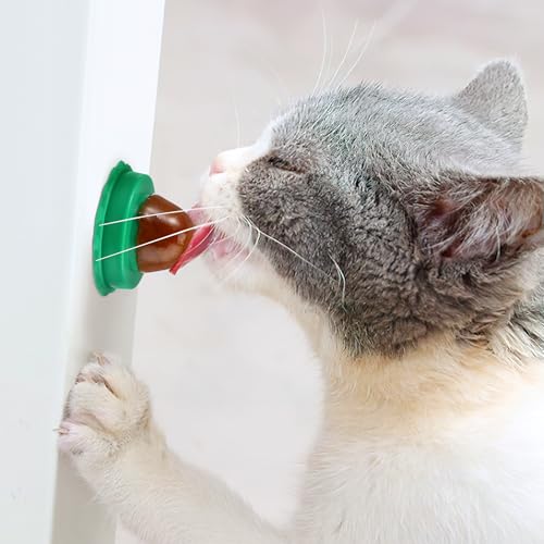 DOITOOL Catnip Lickable Treats 9 pcs Cat Snack Lollipops Natural Edible Catnip Balls Kitty Teeth Cleaning Chew Toys Helps Increase Appetite Promotes Digestion for Kittens