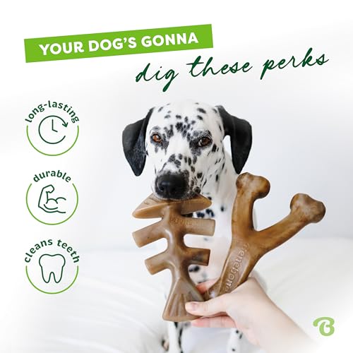 Benebone 2-pack Fishbone/Wishbone Durable Dog Chew Toys, Dog Bones, Small - size: Small, style: Fishbone/Wishbone