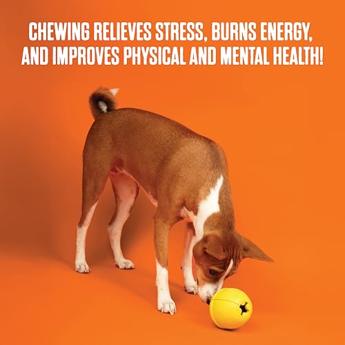 BULLYMAKE Tough Chew Steak Toy for Dogs, Durable Nylon, Aggressive Chewers - style: Steak