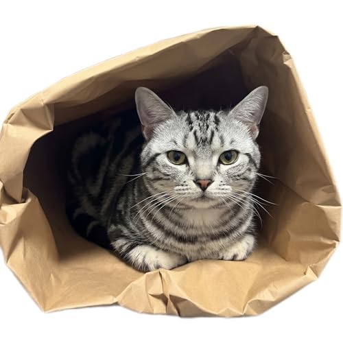 Durable Kraft Paper Cat Tunnel Bag for Indoor Cats & Small Pets