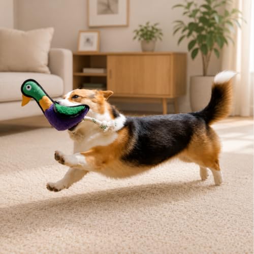 Green Sheep Squeaky Plush Dog Toy, Interactive Rope Toy with Recycled Materials for Tug, Fetch and Play, Medium to Large Dogs, Chew Toy, Duck - color: Duck