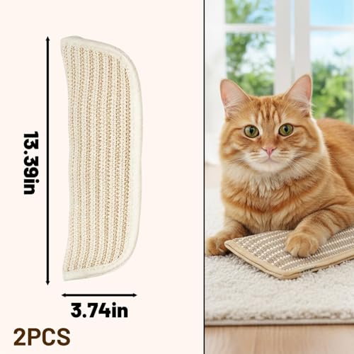 2 PCS Catnip Pillow, Cat nip Pillows, Soft Catnip Pillows for Indoor Cats, Cat Kicker Pillows for Playtime, for Cats with Durable Fabric Construction