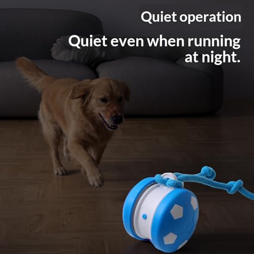 Interactive Dog Toys Dog Ball,Automatic Rolling and Bouncing Moving Dog Toy - color: 1 Blue-football