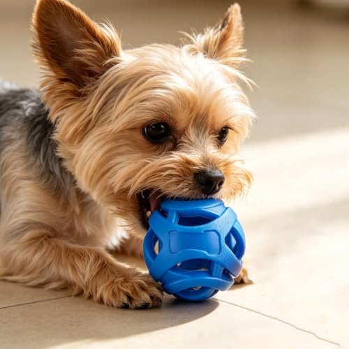 1 Pack Hollow Rubber Dog Ball Toy, Bite Resistant Elastic Chew Molar Toy, Interactive Outdoor Throwing Play Ball for Puppy Self Entertainment (Random Color)