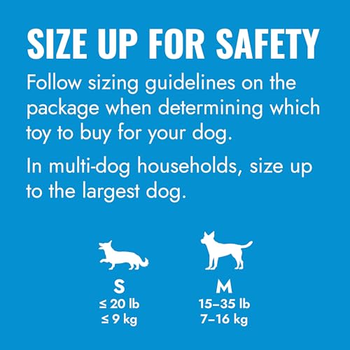 KONG Puppy Activity Ball, Natural Rubber Teething Toy, Medium Puppies, Blue - color: Blue, size: Medium (Pack of 1)