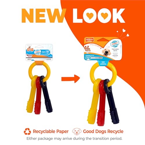 Nylabone Puppy Chew Teething Keys Dog Chew Toy, Bacon Flavor, Medium - size: Medium