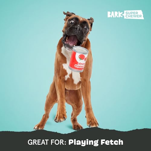 BarkBox Tomutto Soup Dog Toy - Large - style: Tomutto Soup