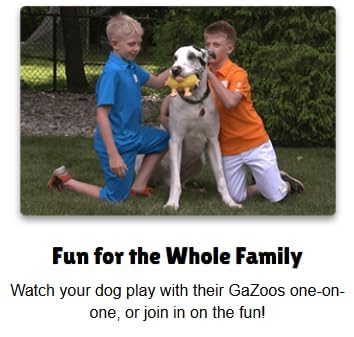 Interactive Dog Toy (Baseball), Motion Activated Bouncing Talking Pet Toy, Exercise and Entertainment for Dogs and Puppies