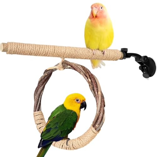 La La Pet Suction Cup Bird Perch Swing and Ring Set Sucker Bird Standing Rack Multifunctional Wooden Parrot Toy for Small and Medium Birds Cockatiel Parakeet Lovebirds Large