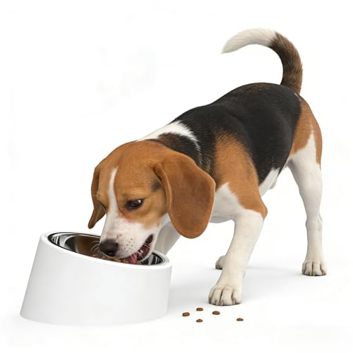 15° Tilted Slow Feeder- Non-Spill & Non-Slip Stainless Steel Dish for Small & Cats - color: White, size: L