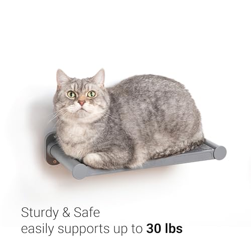 SVD.PET Cat Wall Shelves, 17" x 8" Wall Furniture with Felt Pad, Modern Design, Easy to Install & Clean, Cat Perch for Sleeping & Playing (Dark Grey) - color: Dark Grey, size: Cat Shelf