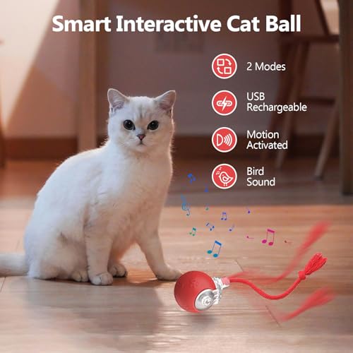 Speed 2.0 Tail Interactive Cat Toys, Rechargeable Ball for Indoor Cats - color: Red