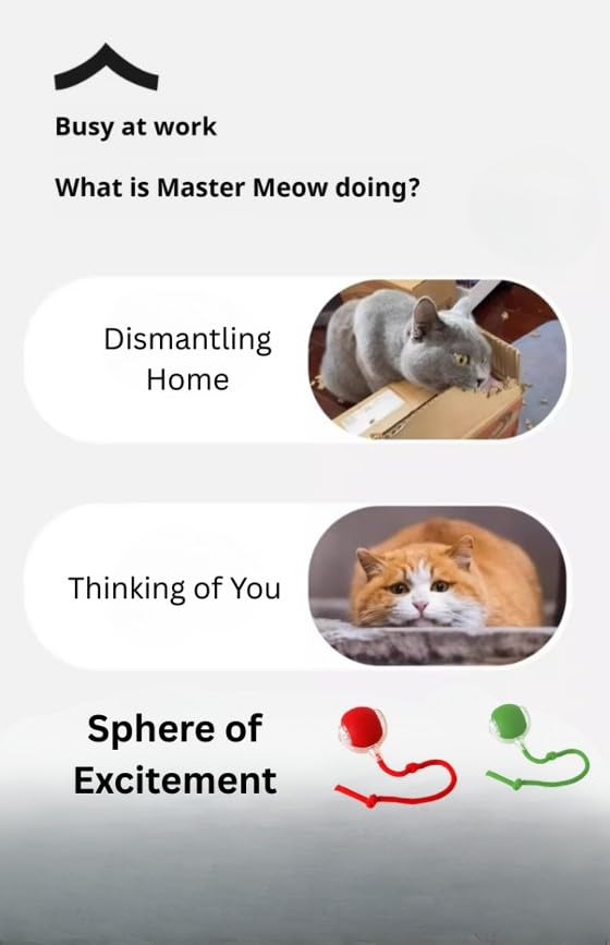 Indoor Cat Interactive Toy 360-degree Automatic Rolling Toy with Floor Flashing and Random Rolling for Cats and Dogs. Continuous Excitement, Fun and Stimulation for Your Cats and Dogs (Green)