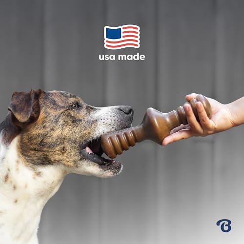 Benebone Blueberry Large 4-Pack Dog Toys, Under 90 lbs - size: Large, style: Limited Edition 4 Pack