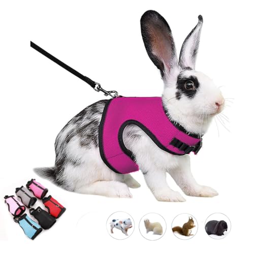 Rabbit Harness Leash Set Escape Proof Bunny Leash Vest Harness,Hot Pink XL - color: Rose Red, size: XL Chest 9.8-15.7",For Big Adult Rabbit
