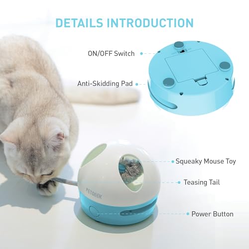 PETGEEK Hidey Mouse Electronic Interactive Cat Toy, Hide Mouse Cat Toy with Squeaky Mouse, Automatic Cat Toys with Catnip Filled Hidey Mouse, Cat Toys Interactive for Indoor Cats Play (Blue) - color: light blue