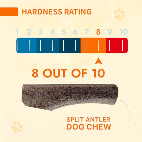 Tibetan Elk Antler for Jumbo Dogs, Grade-A, Premium Chews, Naturally shed Healthy & Longer Lasting Aggressive chewers, USA Product Antler (Split) - style: Split - Jumbo - 1 Pack