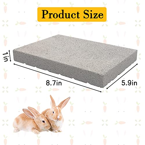 BNOSDM Rabbit Grinding Claw Pads Natural Hamster Lava Stone Teeth Grinder - color: White 1x Large