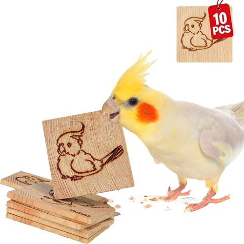 10 Pack Bird Chew Toys, 100% Natural Pine Wood Blocks for Parrot Chewing & Beak Trimming, Durable Bird Cage Accessories for Medium Small Birds, Conures, Cockatiels