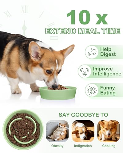 TRUVIC Ceramic Slow Feeder Dog Bowls, 1.5 Cup Puzzle Slow Feeder Bowls for Fast Eaters, Ceramic Dog Food Dish no Black Chin, Puzzle Bowl for Medium Dogs, Green - color: 04-Green, size: M-1.5 Cups