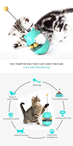 Interactive Cat Toy Tumbler for Indoor Cats