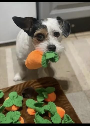 Kalika Dog Toys for Small Dogs – Interactive Dog Toy, Dog Enrichment Toy, Snuffle Mat Dog Puzzle Toy for Puppies, Plush Dog Chew Toy for Boredom & Mental Stimulation (Carrot Snuffle Toy)