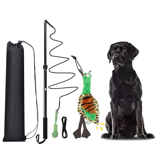 Flirt Pole Dogs, Dog Chase Toy with Squeakers Inside, Dog Fishing Pole Toy for Large Medium Small Dogs to Keep the Puppy Entertained and Physically Exhausted, Ball+Duck - style: Ball+Duck