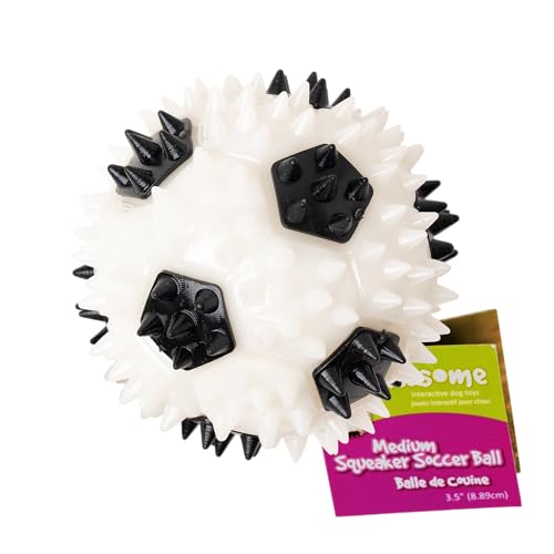 Gnawsome Squeaker Soccer Ball Dog Toy - Medium, Promotes Dental and Gum Health for Your Pet, Colors Will Vary, All Breed Sizes, 3.5" (Pack of 12) - size: 3.5" (Pack of 12)
