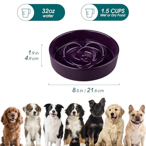 vancasso Slow Feeder Dog Bowl, 1.5 Cup Ceramic Medium Puzzle Dog Food Dish - color: Dark Purple, size: M - 1.5 Cups