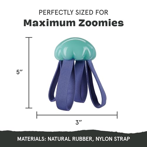 BarkBox Jelly Fetch Dog Toy - for Medium Dogs - color: Jelly Fetch-Medium