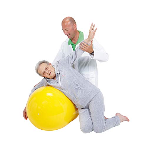 GYMNIC Physio Roll 55